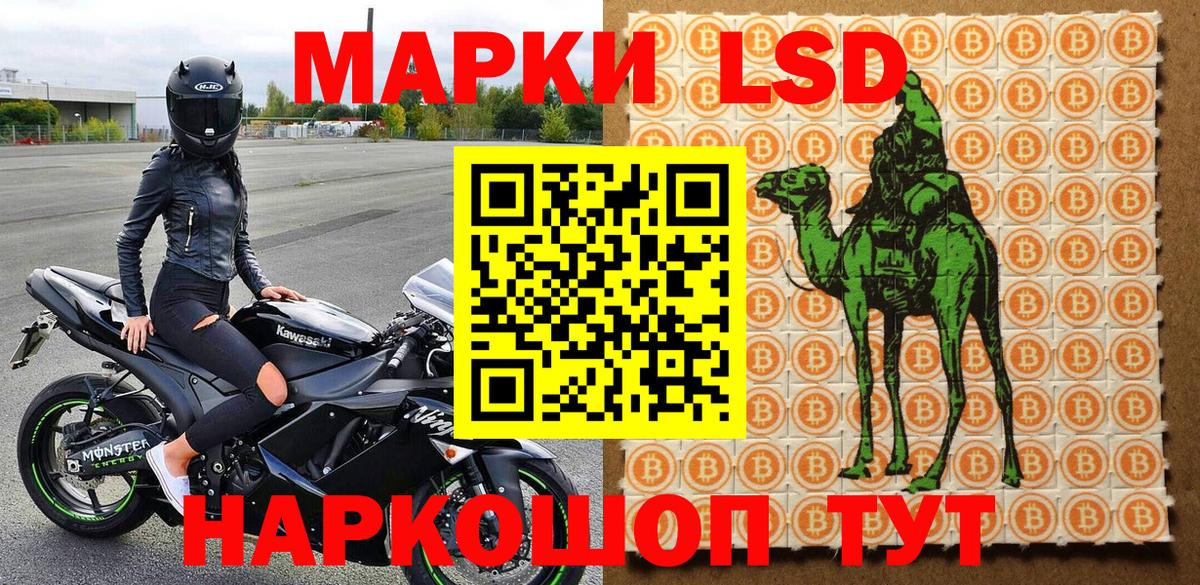 дарнет шоп  Марки 25I-NBOMe 1500мкг  Елабуга  Марки 25I-NBOMe 1500мкг 