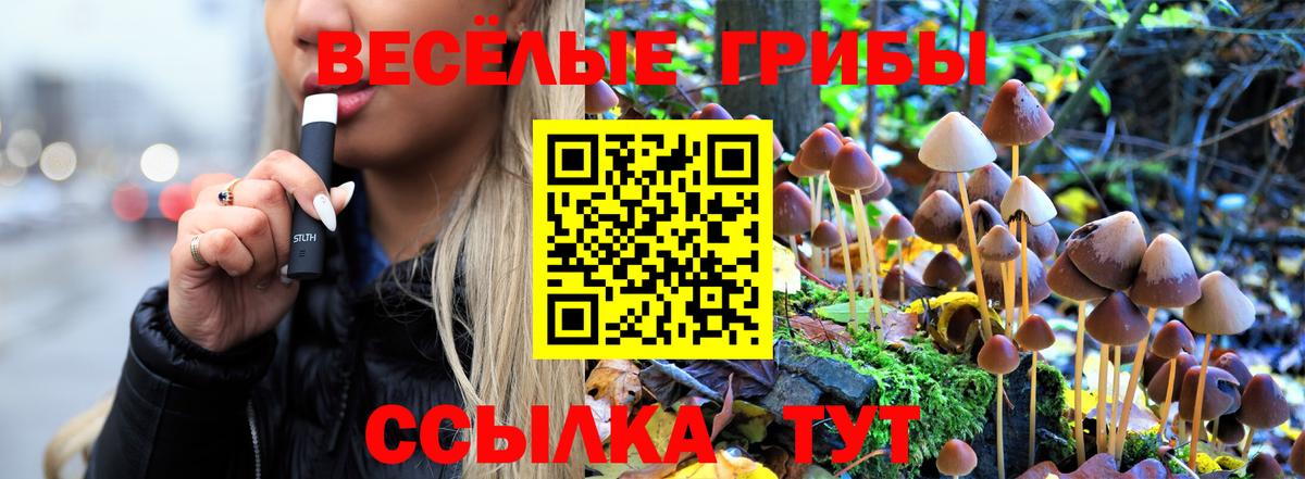 Галлюциногенные грибы Psilocybine cubensis Елабуга