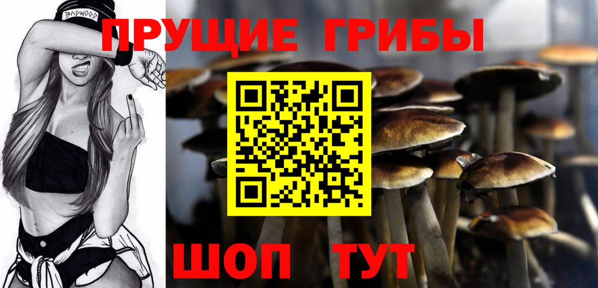 Галлюциногенные грибы GOLDEN TEACHER  Елабуга  Галлюциногенные грибы прущие грибы 