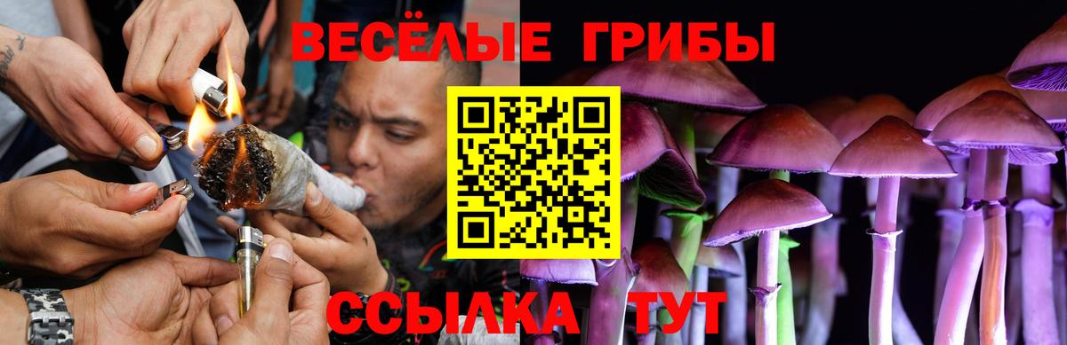 Елабуга  Псилоцибиновые грибы Cubensis  Вход с VPN  Псилоцибиновые грибы ЛСД 
